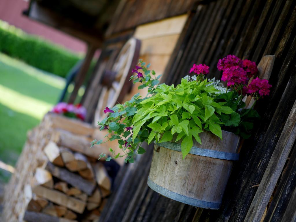 Apparthotel Ederfeld Mayrhofen Kültér fotó